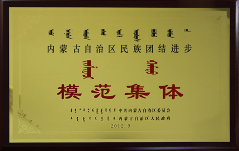 自治区民族团结进步模范集体